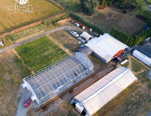 Our New Greenhouse is Almost Finished!