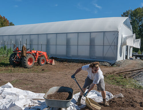 February Employee Spotlight